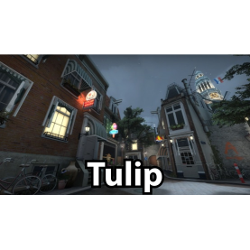 tulippng