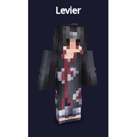 Levier.png