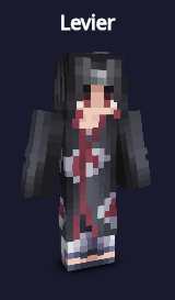 Levier